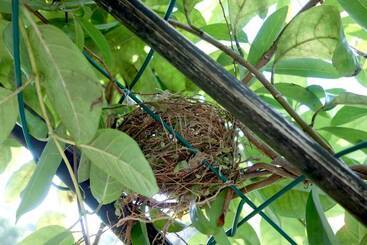 Пансион Manel Guesthouse