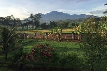 Жильё для туристов Joglo Java