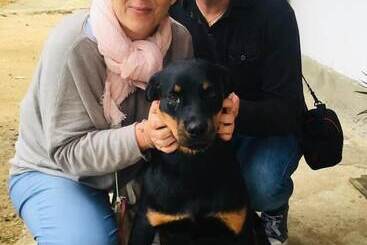 Pensão Adisham Village Home