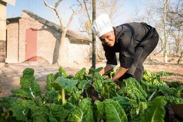 ホテル Bushwa Game Lodge