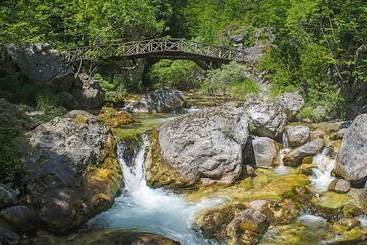 בית מלון כפרי Tropicana