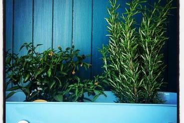 پانسیون Al Gharb Tavira Eco Guesthouse