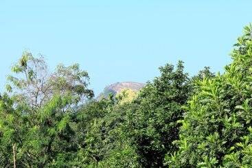 Bed and Breakfast Seasons Villa