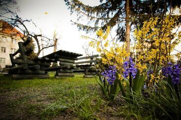 Hostel Grande Sopotiera