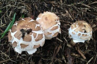 B&b La Chambre De L Anthropologue