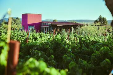 茅舍 Ecléctico Guadalupe