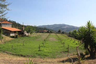 بنسيون Propriedade Do Pires