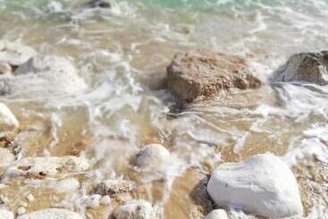 住宿加早餐  Apulia Bed&breakfast