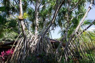 酒店 Villas Nicolás   Adults Only