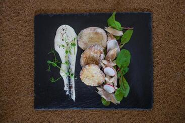 پانسیون Novobilski   Pod Wyciągiem Bania I Kotelnica, Obok Termy Bania