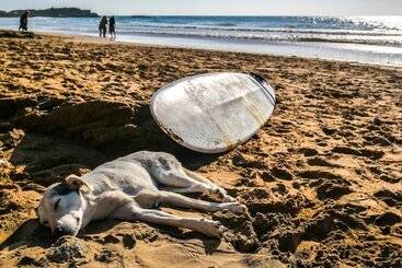 هاستل Sunset Surfhouse Morocco