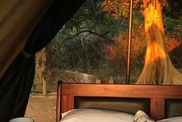 هتل Senate Boutique Camp   Campsite