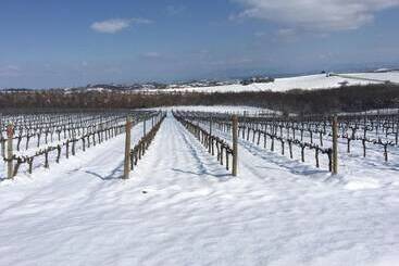 فندق ريفى Agriturismo Podere Casa Al Vento