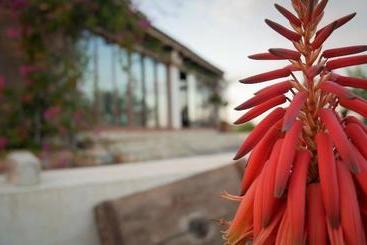 Finca La Constancia
