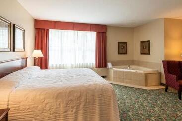 Отель Vinifera Inn