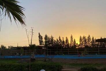 تختخواب و صبحانه Les Jardins D Amizmiz