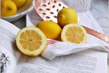 پانسیون Villa Edo