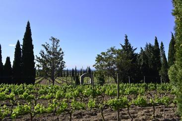 هتل El Recer De Masia Serra