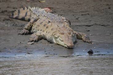 فندق Cielo Lodge