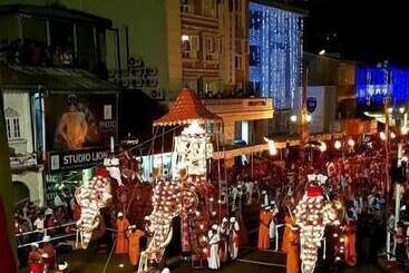 호텔 Bed Station 210