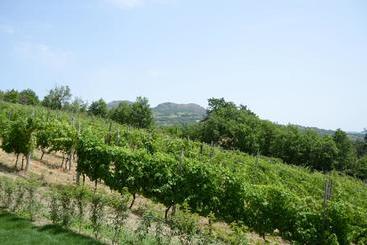 هتل Agriturismo Ca  Del Sartu