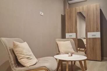 پانسیون Vilin