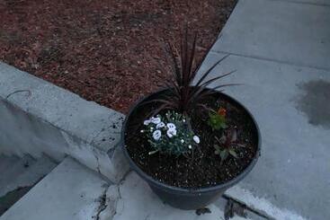 Апарт-отель The Wing At Kingston East