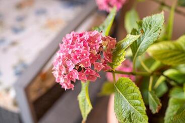 مبيت وإفطار Agriturismo Le Giustizie