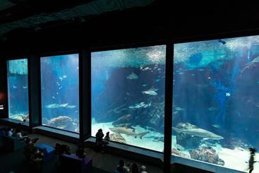 호텔 Kyukamura Shikanoshima