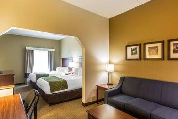 בית מלון כפרי Comfort Suites Cookeville