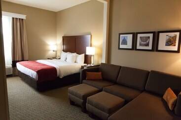 فندق Comfort Suites Hattiesburg