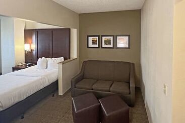 酒店 Comfort Suites Peoria Sports Complex