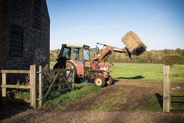 مبيت وإفطار Sidney House Farm