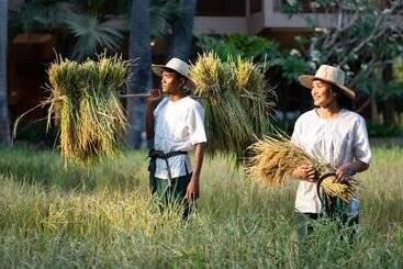 هتل Mane Family Vacation