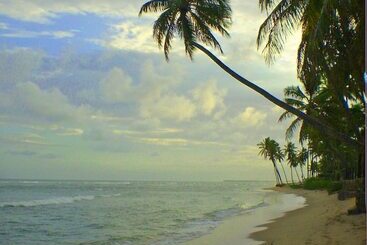 בית מלון כפרי Cabanas Blue