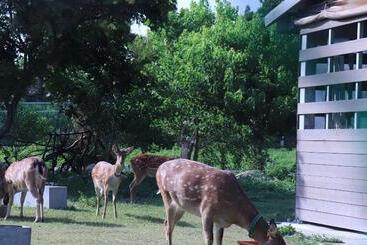 پانسیون 頌謙文旅 梅花鹿同住