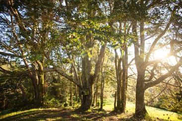 هتل Meular Chiloe
