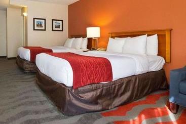 فندق Comfort Inn & Suites Airport