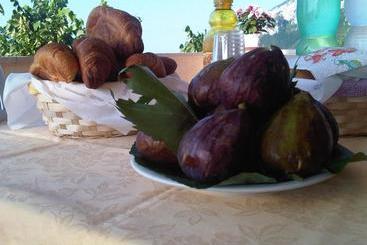 Casa Falcone B&b