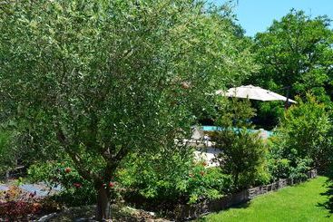 مبيت وإفطار L'oliu De L'oustalet