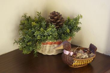 Casa Rural Olga