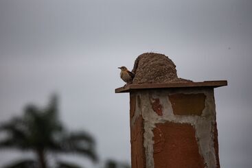 El Tránsito Hotel Boutique