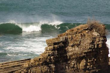 הוסטל Escondite Pacifico