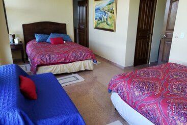 مبيت وإفطار Pink Palace Panama