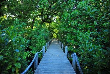هتل Pacific Treelodge Resort