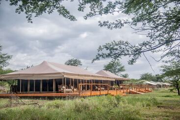 ホテル Serengeti Acacia Central Camp