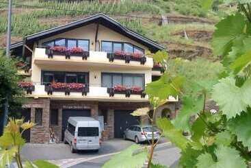 ペンション Ferienweingut Stein