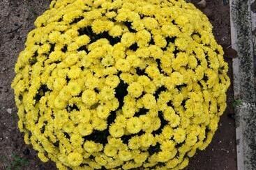 ペンション Quinta Ribeira Do Labrador   Lisbon West Wine Route