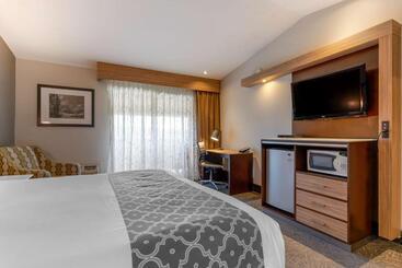 Отель Best Western Plus Forest Park Inn