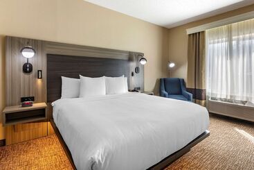 בית מלון כפרי Comfort Inn & Suites North Dallasaddison